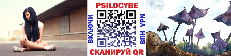 Псилоцибиновые грибы Psilocybe  Абаза 